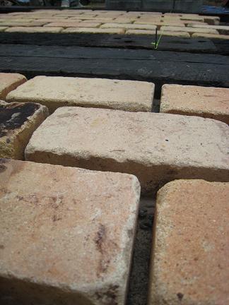 ��󥬤����ڤΥ���ܥ졼�����