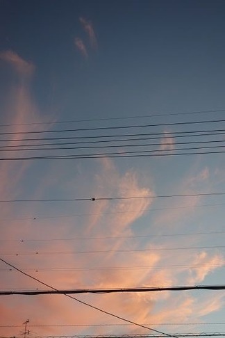 ͼ�Ƥ�