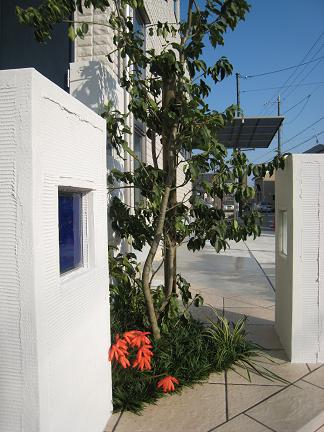 ����ܥ�ĥ꡼