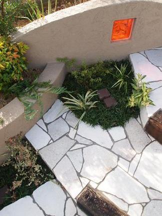 �����Ƥο�ʪ����