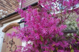 �Ȳ֥ȥ���ޥ󥵥�