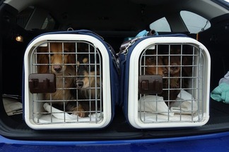 ���å����ե��