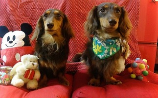 ���Ф�������