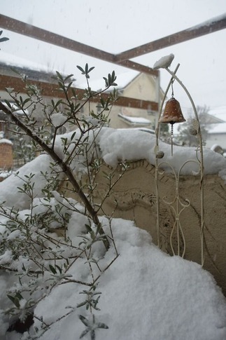 大雪