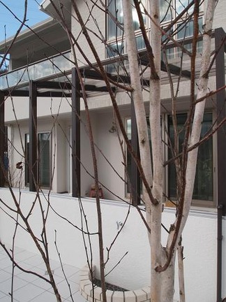 ���饫�Х��㥳���ƥ���