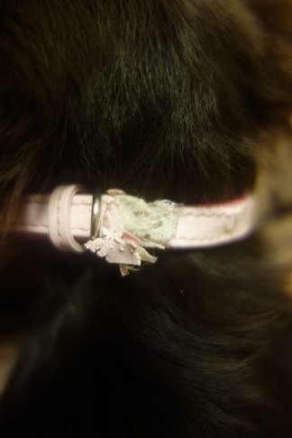 ̵�Ĥˤ⡦����