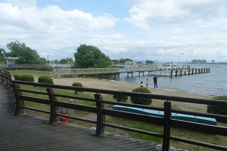 ���ʸ��綶