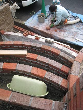 ���¤��γ���