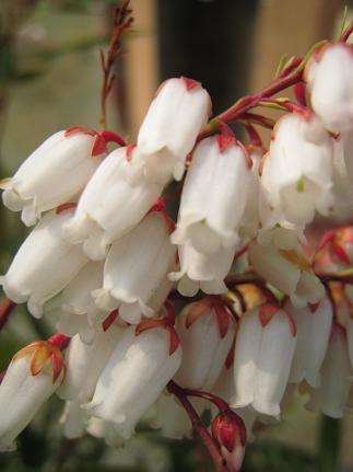 ��奦���奦������