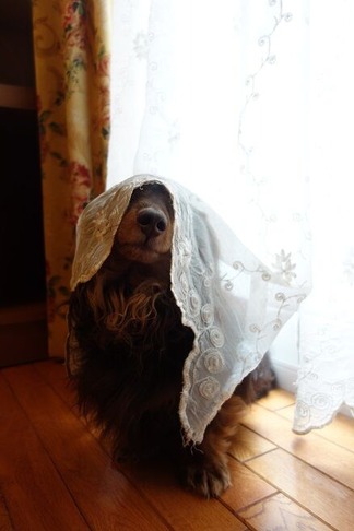 ���å����ե��