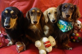 �椬�ȤΥ��å����ե��