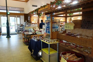 メタセコイア並木