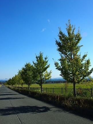 �����祦����