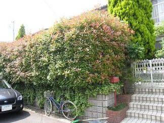 �ӥե����ܹ���