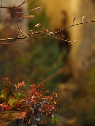 ¥¸¥å¡¼¥ó¥Ù¥ê¡¼