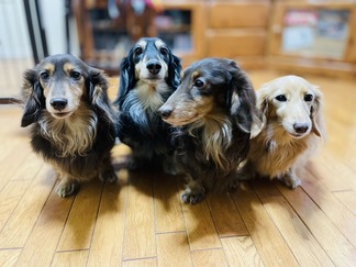 ���å����ե��