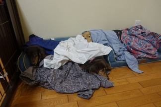 ���å����ե��