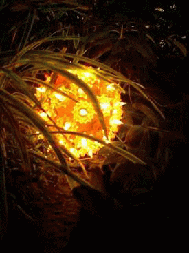 ����ߥ͡������/�ܡ���