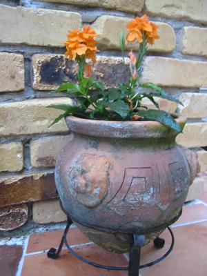 ��������ɥ�