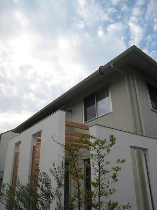 �����������������