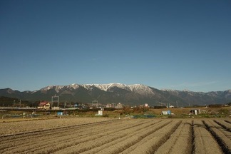 ����Ϣ��