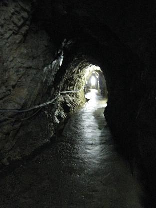 ����ƶ����ؤȡ���