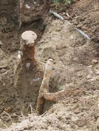 �Ť�������