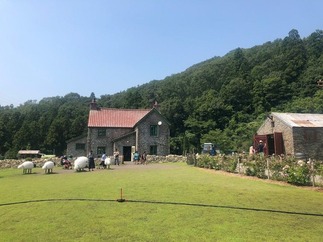ひつじのショーン
