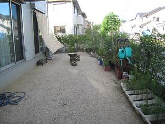 �ӥե����ֻܹ����Τ�����