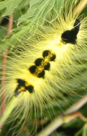 �Ӥ�������