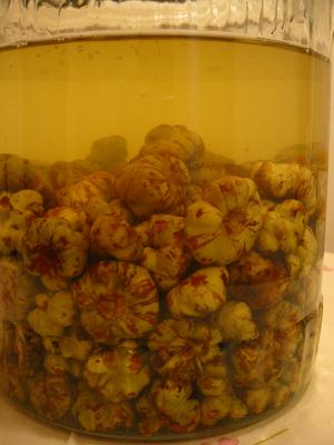 �ޤ����Ӥμ�