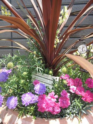 �Фξ������ο�ʪ����