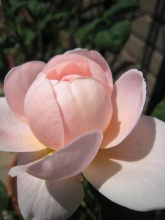 �������󡦥��֡����������ǥ�β֤Ӥ�