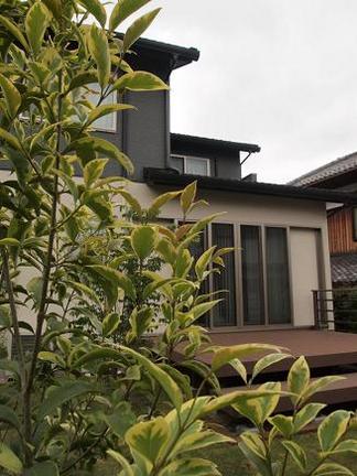 �ȥ��ͥ��ߥ���ȥꥫ�顼