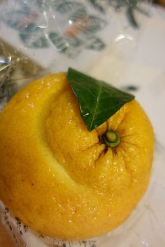 Ϸ�����ƴ���