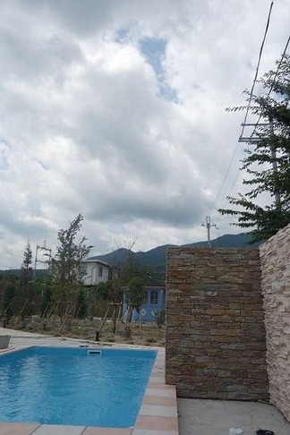 お庭の風景
