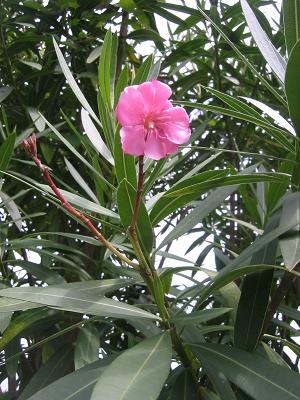 ���祦�����ȥ�