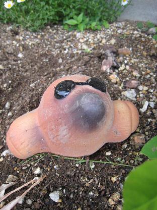 �⥰��Υ��󥰥饹