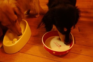 ���å����ե�ɣ�ɤ