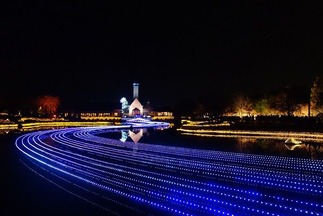 ��奤��ߥ͡������