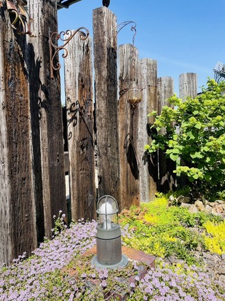 �ޥ��饤��