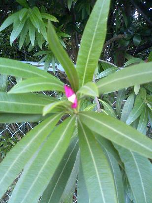 ���祦�����ȥ�