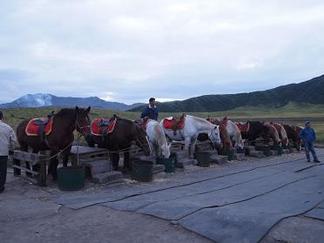 ����Τ���Ϥ���