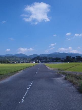 ���������ı�����