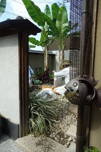 �Х����󥬡��ǥ�