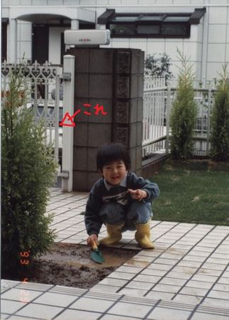 ������ɥ��쥹�ȡ�������ǯ��