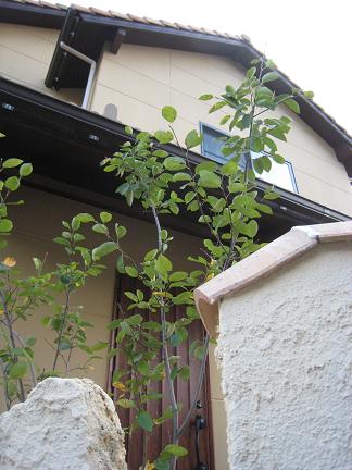 ���塼��٥꡼