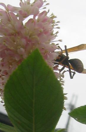 �ϥ��Τ�������