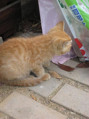 ��̣���󤷤�