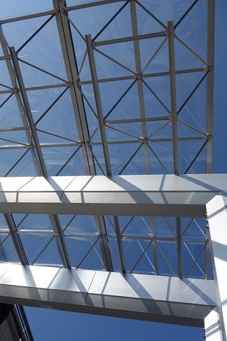 �ͥ�������